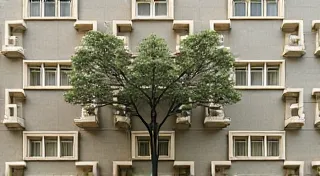 The Weaver’s Hand: Espalier and Orchard Sculpture